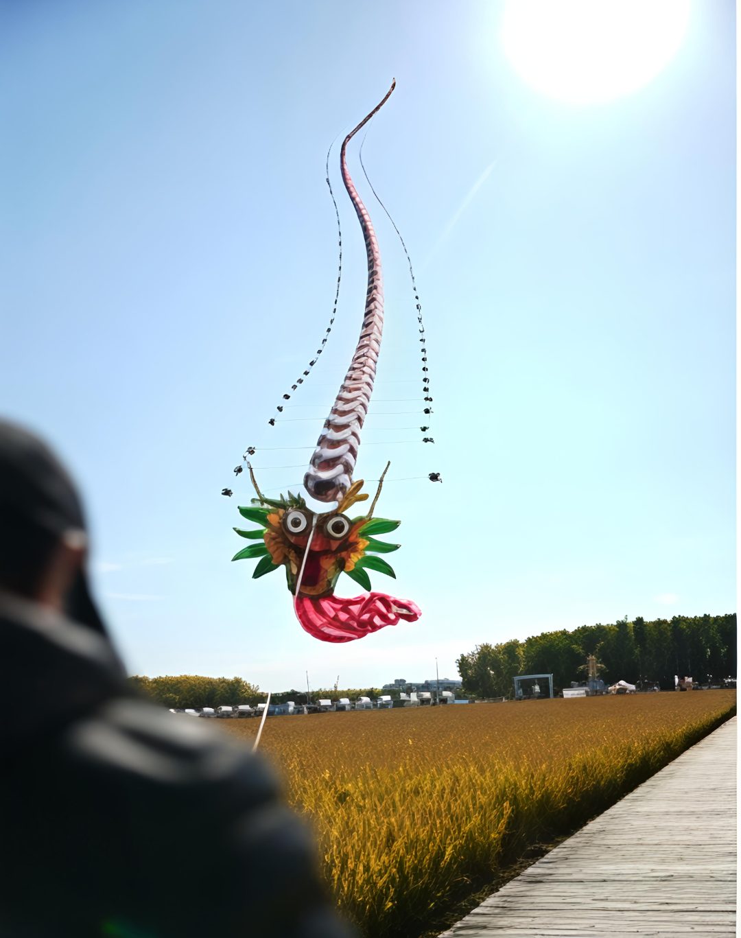 A restored Qing-style dragon-head centipede kite flying low over rice fields