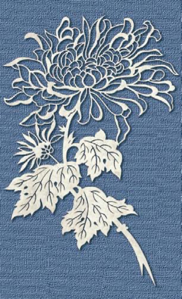 A chrysanthemum paper cut in fine white line work