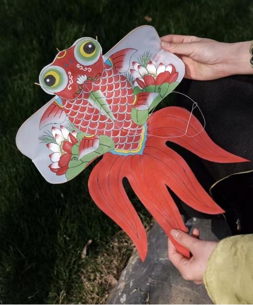 A finished soft-wing goldfish kite whose flexible tail sways in the wind
