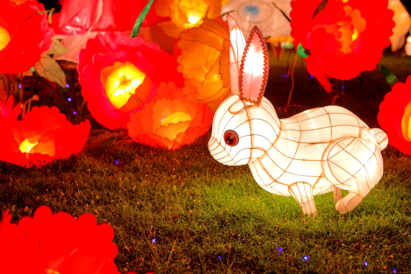 A glowing white rabbit lantern with a wire-frame body standing on grass among illuminated peony flower lanterns