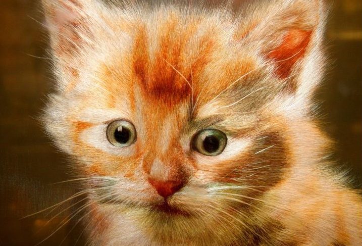 A Suzhou embroidery of a cat, demonstrating the school’s realistic double-sided technique